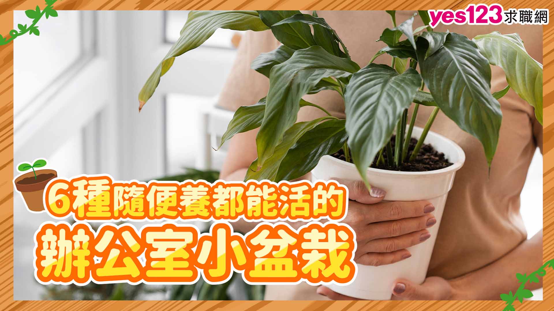 【辦公DIY】6種隨便養都能活的辦公室小盆栽
